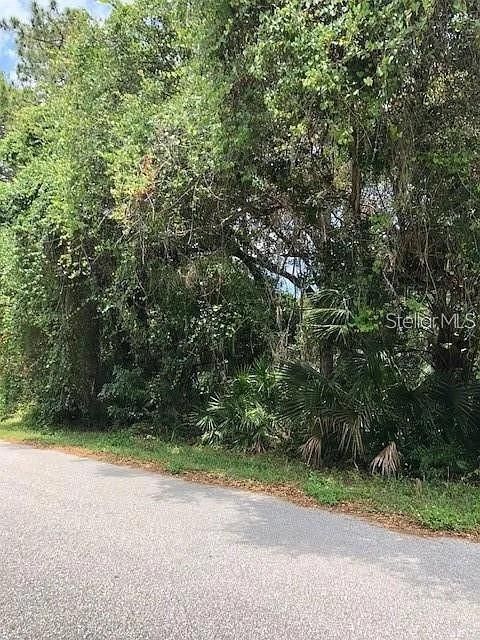 待售: $49,000 (0.30 acres)