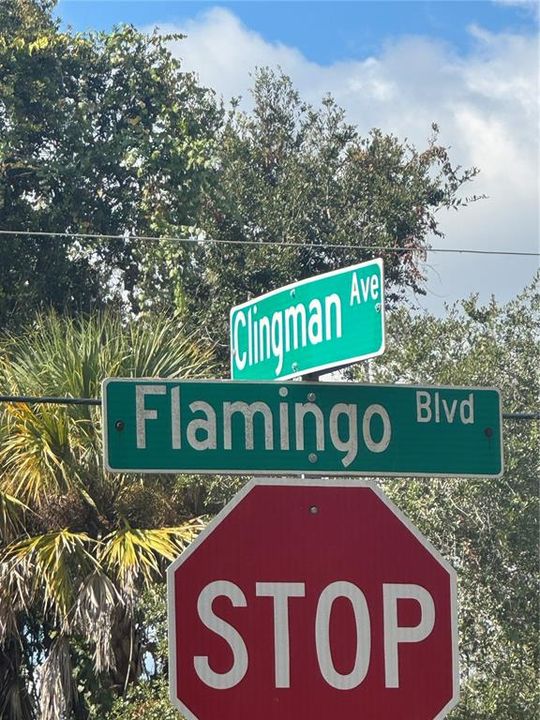 待售: $49,000 (0.30 acres)