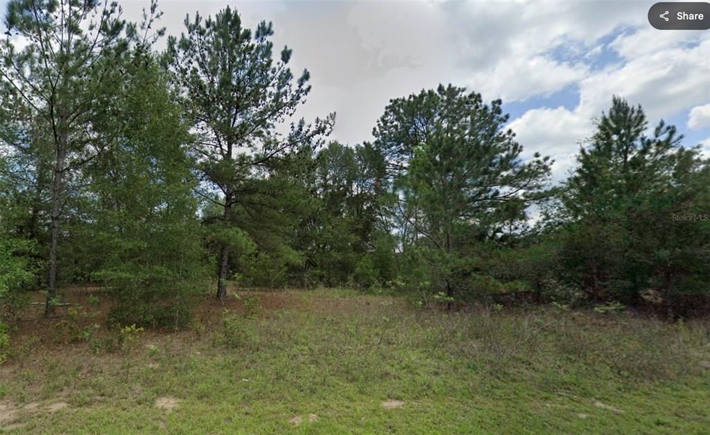 For Sale: $19,999 (0.38 acres)