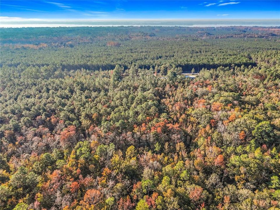 待售: $23,000 (1.13 acres)