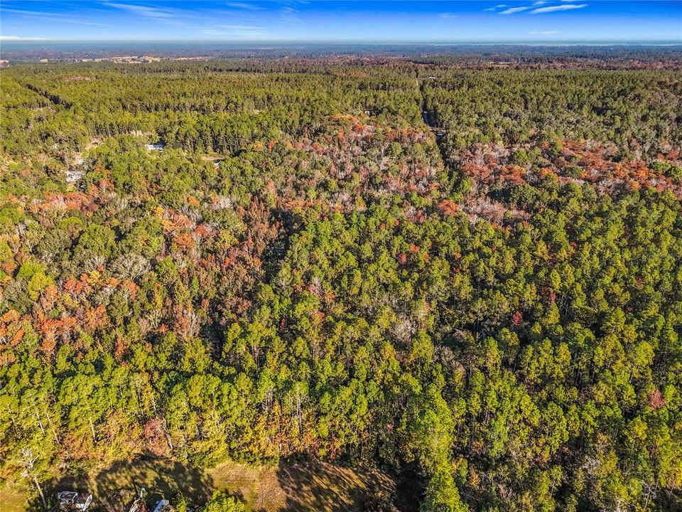 待售: $23,000 (1.13 acres)