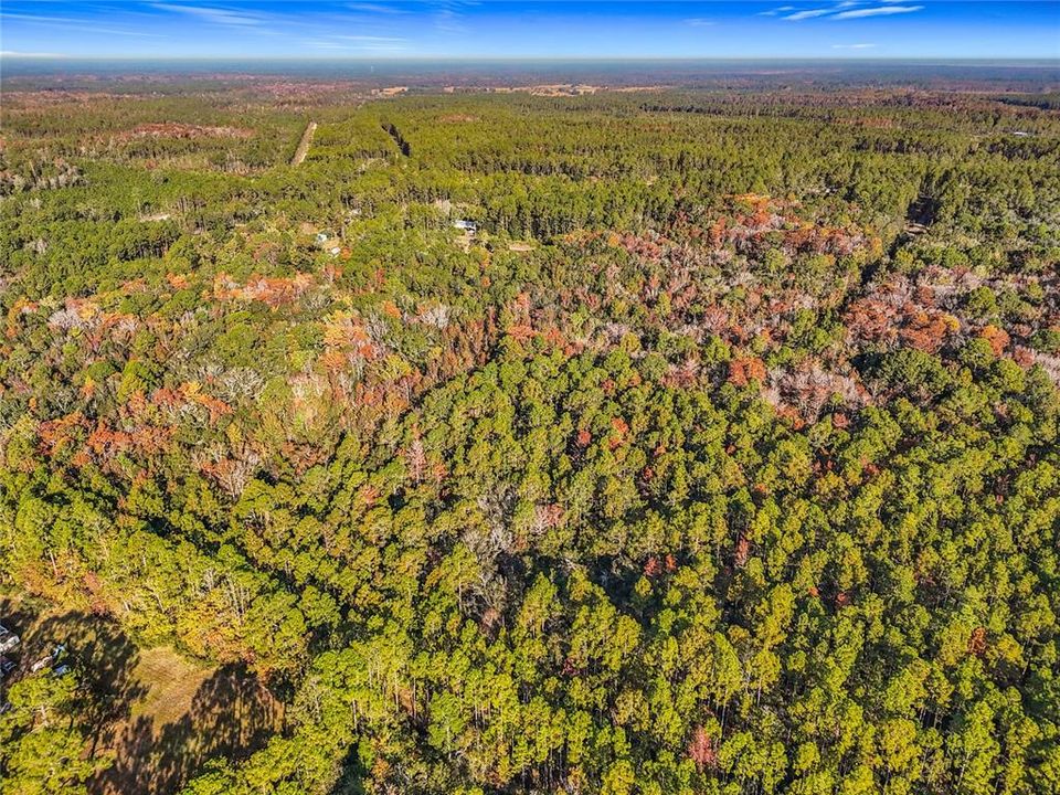 待售: $23,000 (1.13 acres)