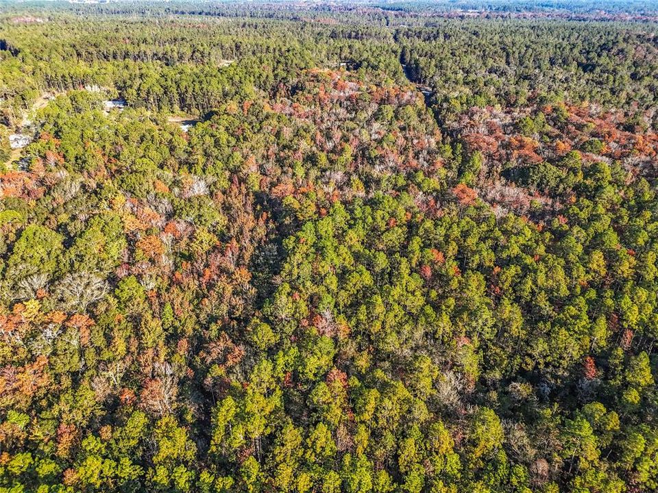 待售: $23,000 (1.13 acres)