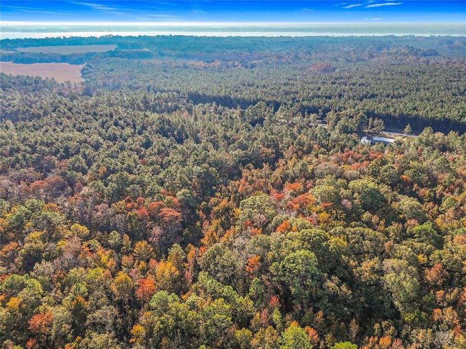 待售: $23,000 (1.13 acres)