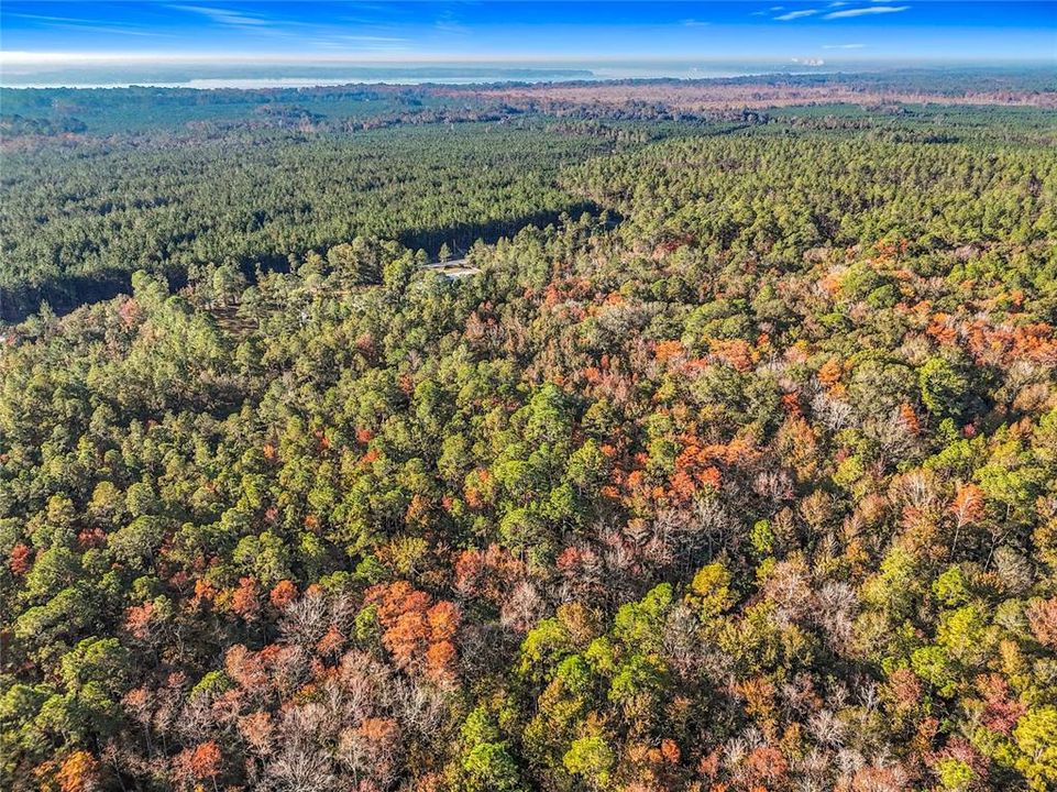 待售: $23,000 (1.13 acres)