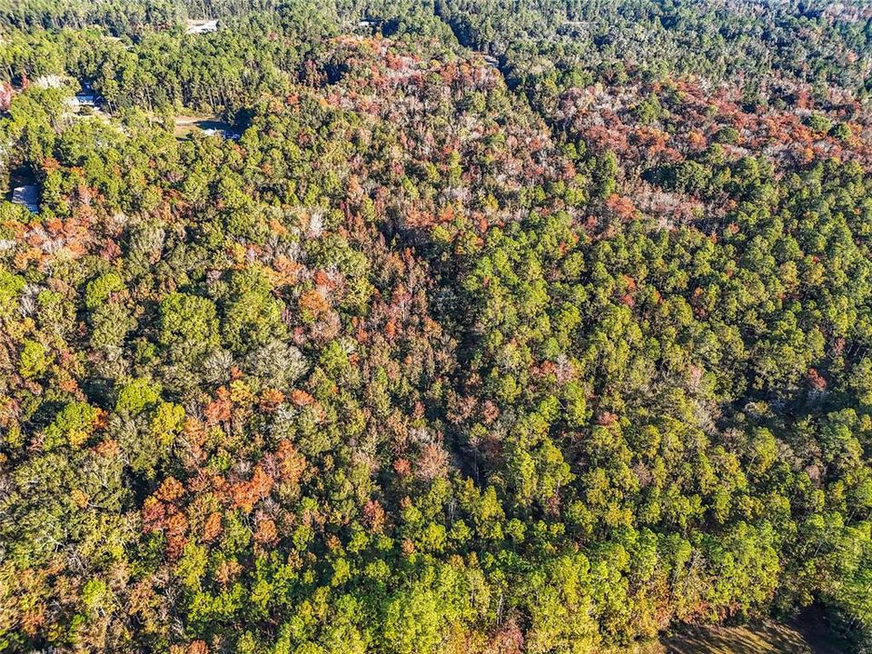 待售: $23,000 (1.13 acres)