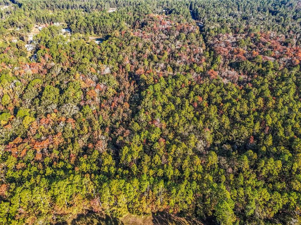 待售: $23,000 (1.13 acres)