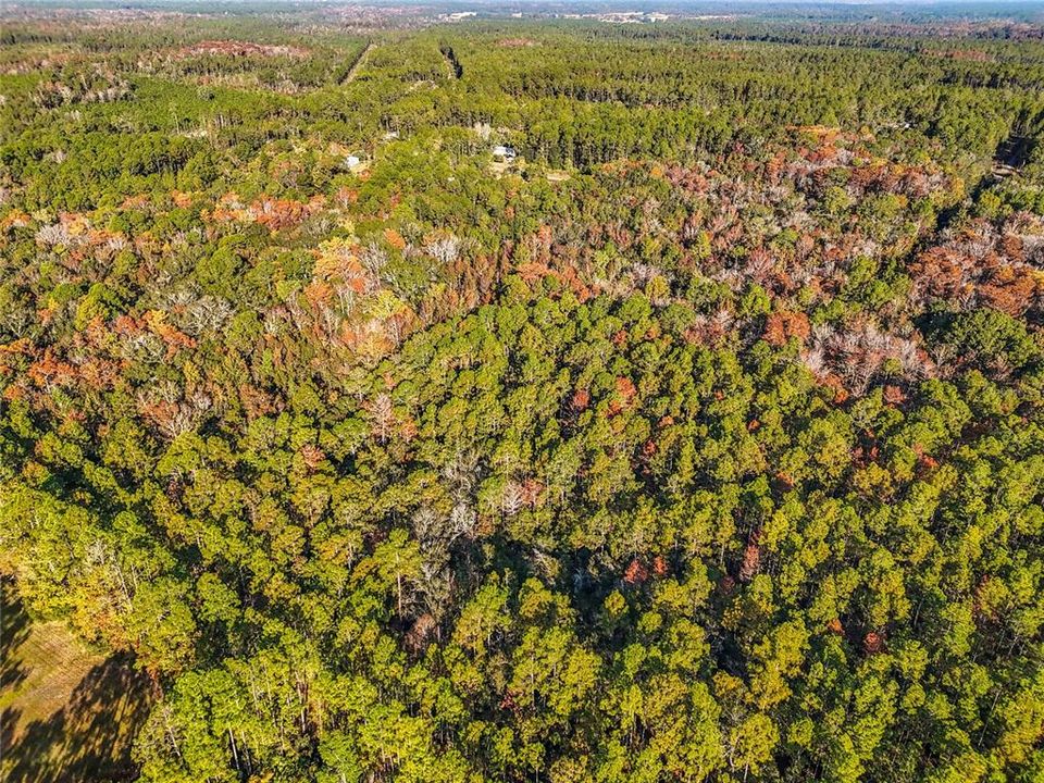 待售: $23,000 (1.13 acres)