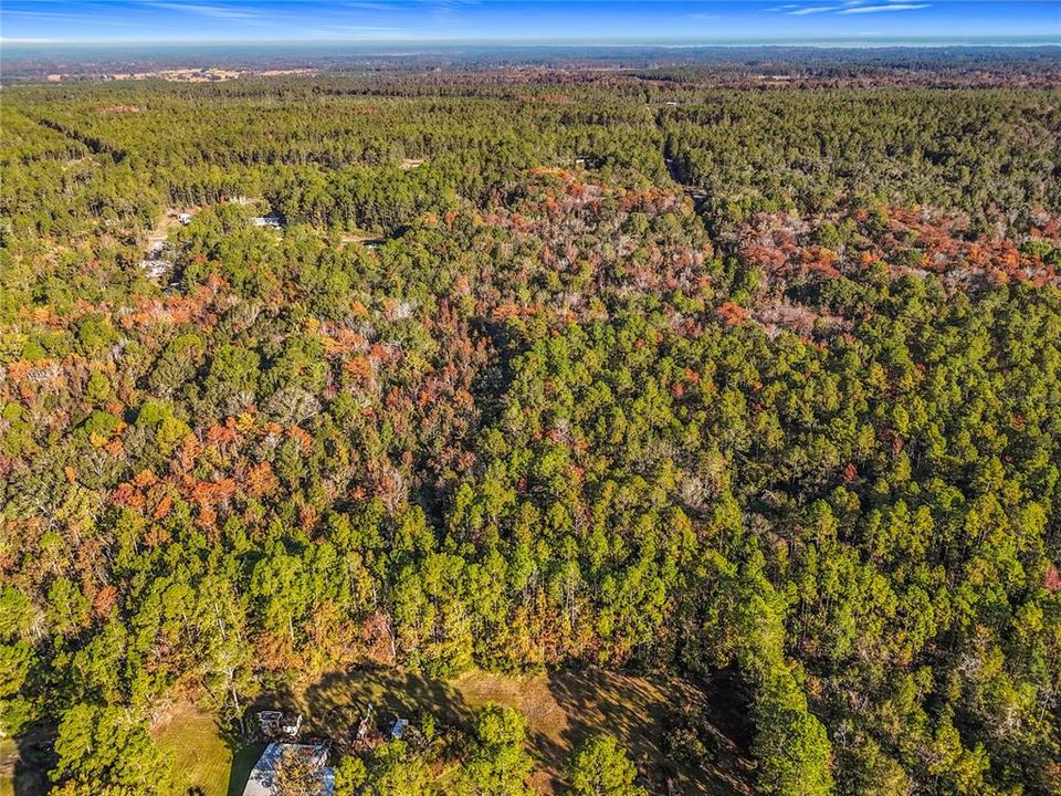 待售: $23,000 (1.13 acres)