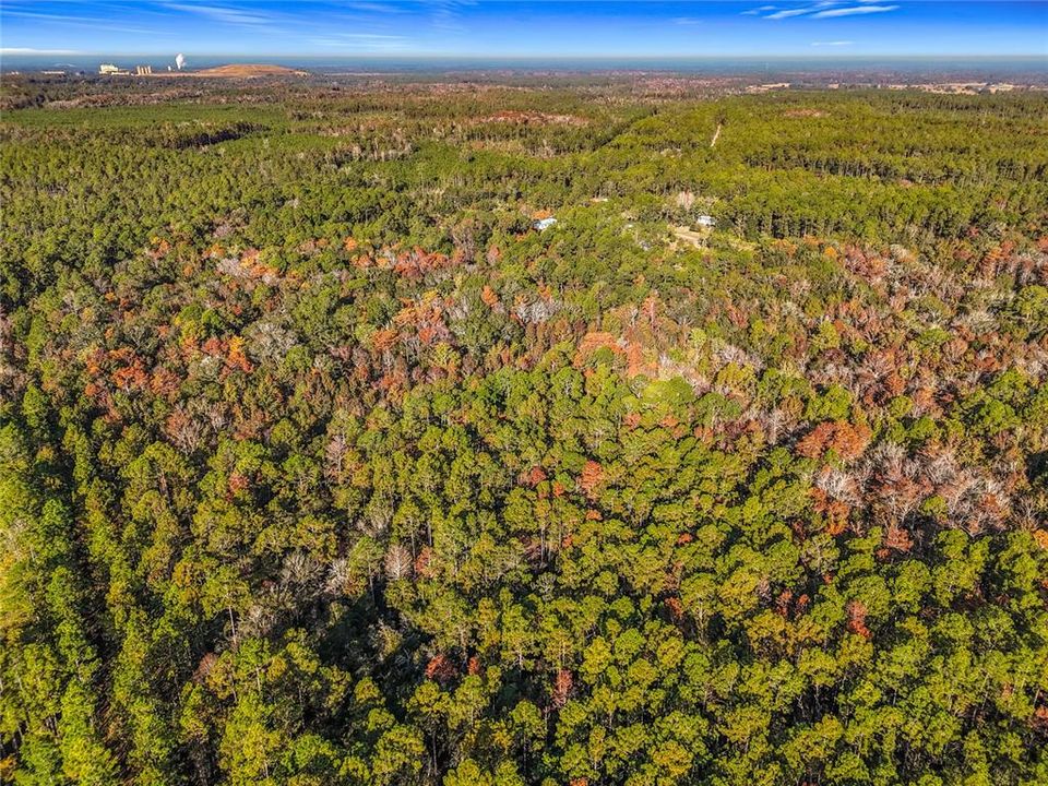 待售: $23,000 (1.13 acres)