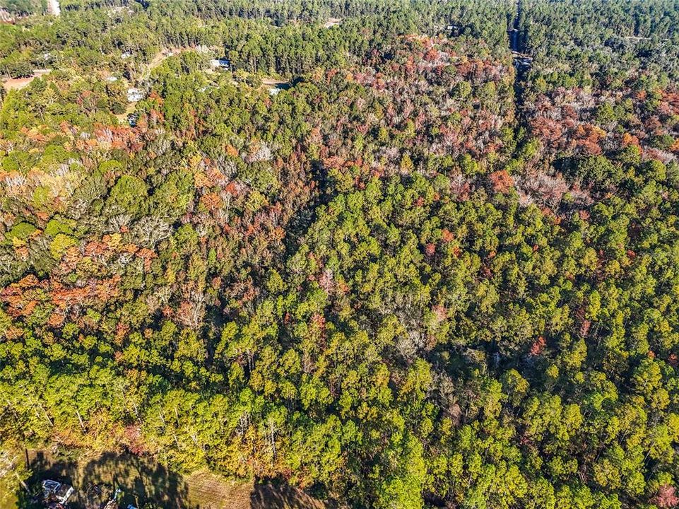 待售: $23,000 (1.13 acres)