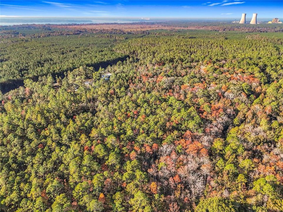 待售: $23,000 (1.13 acres)