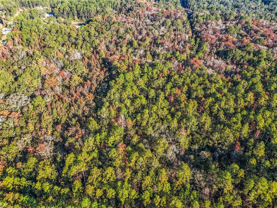 待售: $23,000 (1.13 acres)