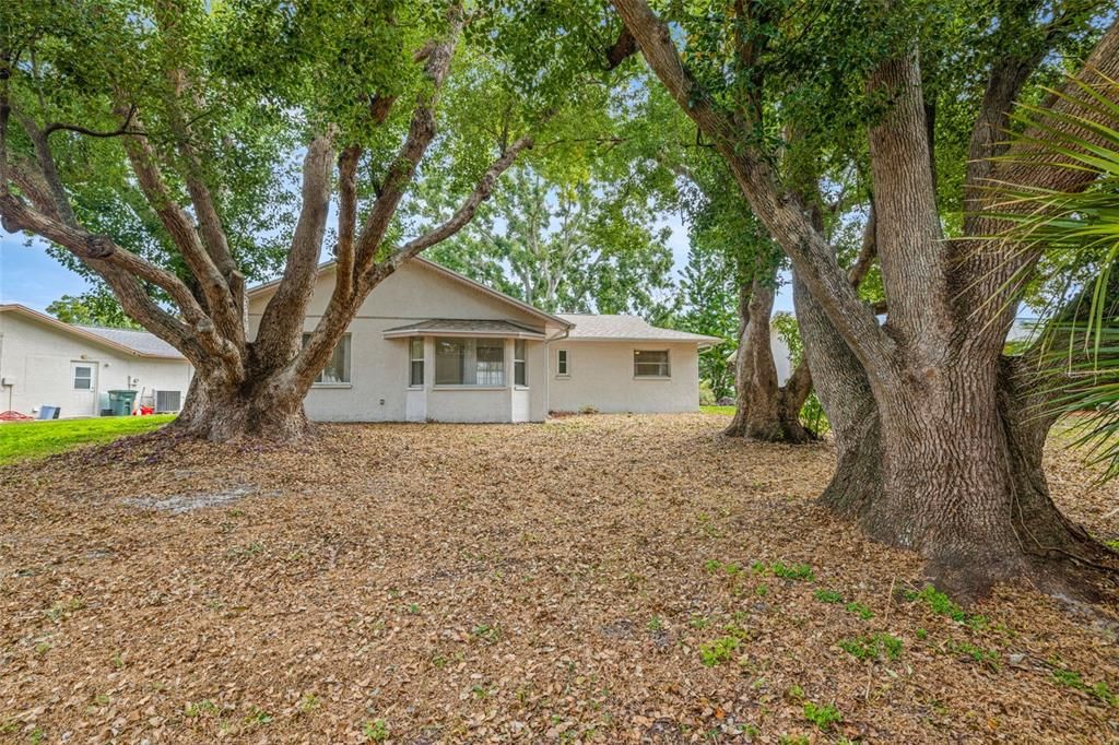 待售: $375,000 (2 贝兹, 1 浴室, 1294 平方英尺)