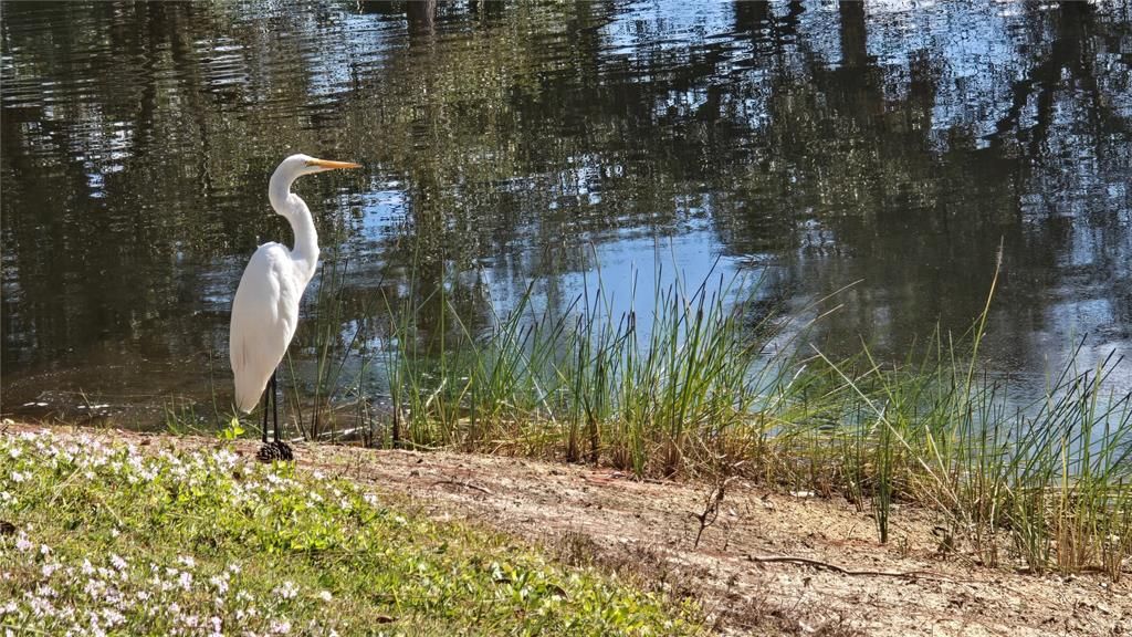 For Sale: $174,900 (3 beds, 2 baths, 1293 Square Feet)