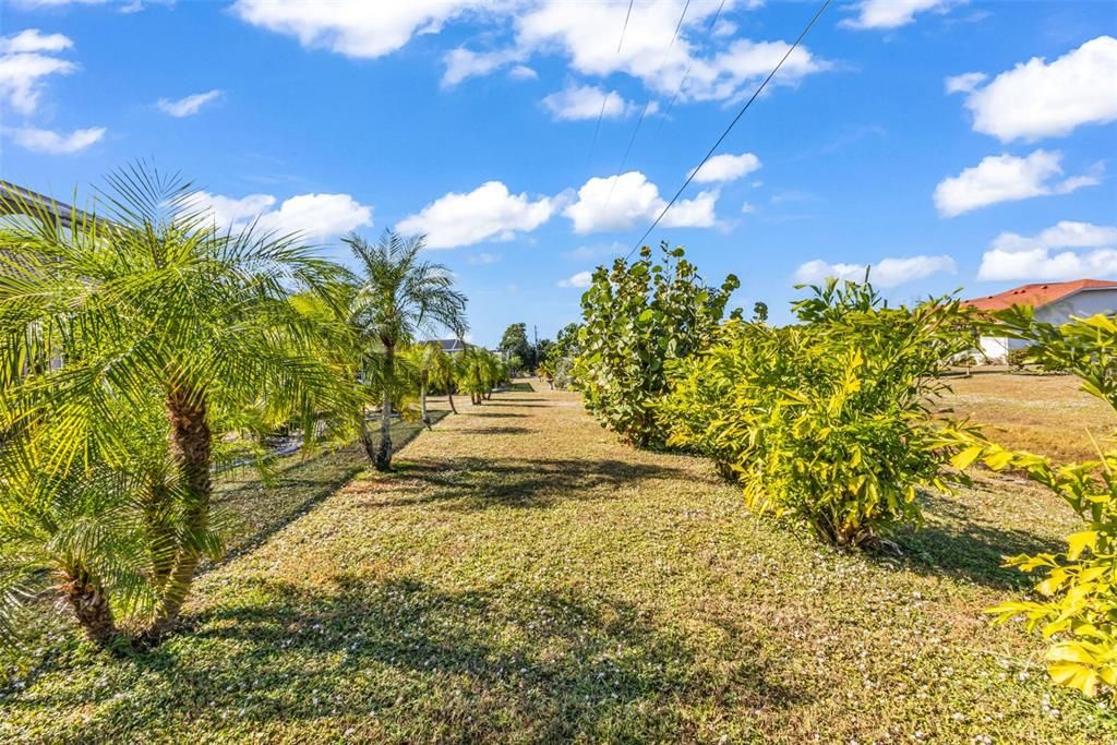 На продажу: $449,900 (3 спален, 2 ванн, 2223 Квадратных фут)