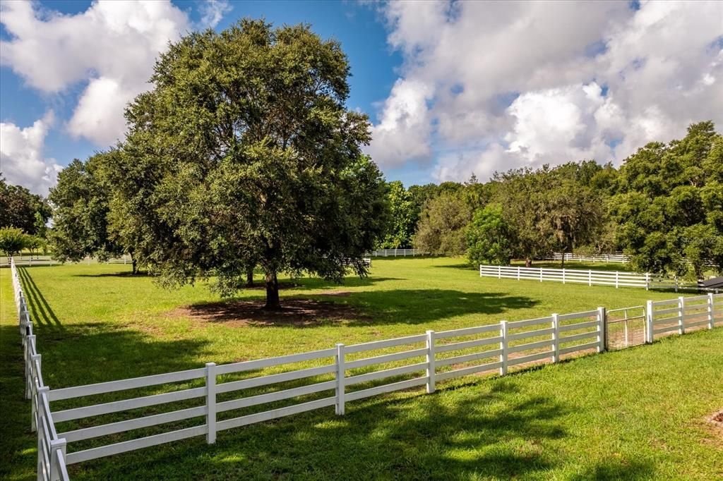 For Sale: $1,495,000 (5 beds, 3 baths, 4426 Square Feet)