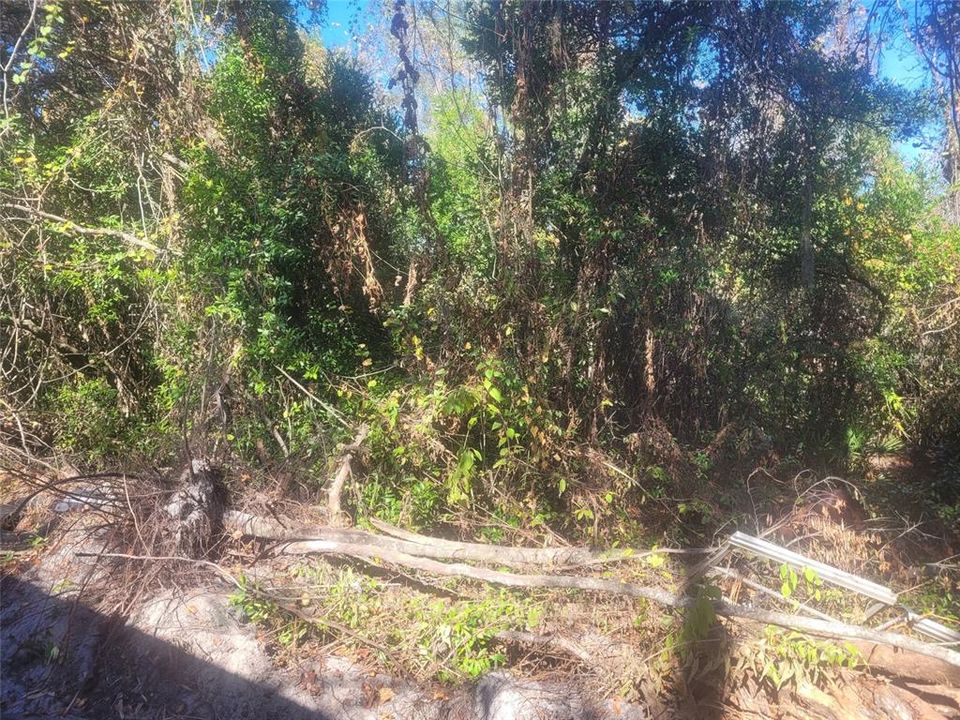 待售: $29,900 (0.27 acres)