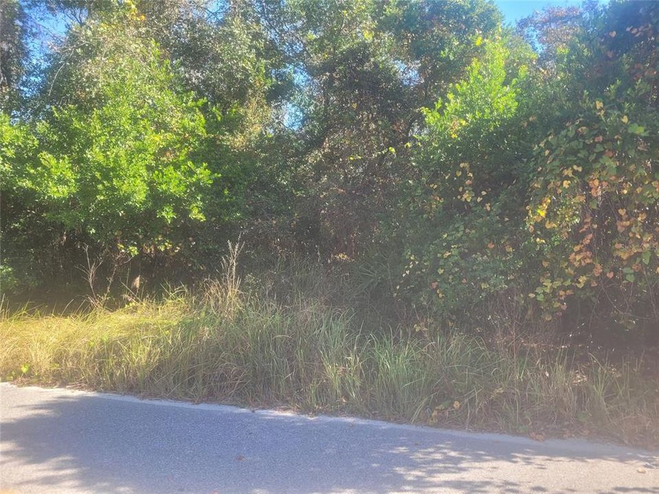 待售: $29,900 (0.27 acres)