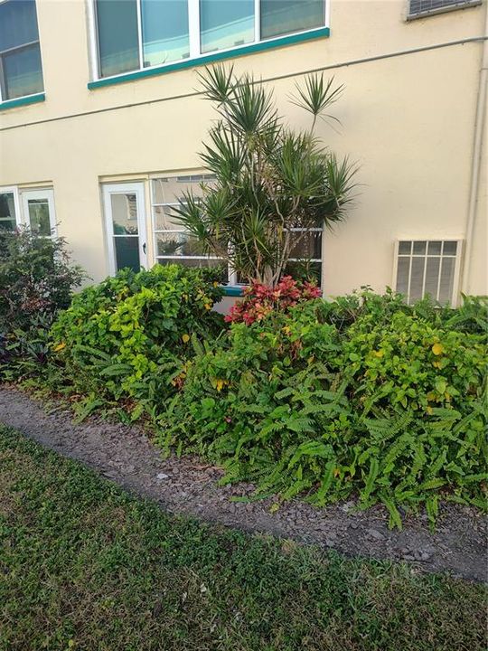 For Sale: $165,000 (1 beds, 1 baths, 815 Square Feet)