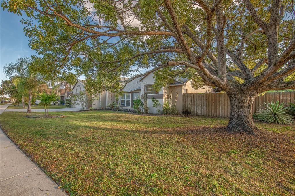 合同活跃: $500,000 (4 贝兹, 2 浴室, 2083 平方英尺)