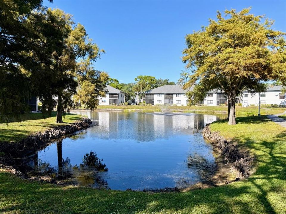 На продажу: $279,900 (2 спален, 2 ванн, 1174 Квадратных фут)