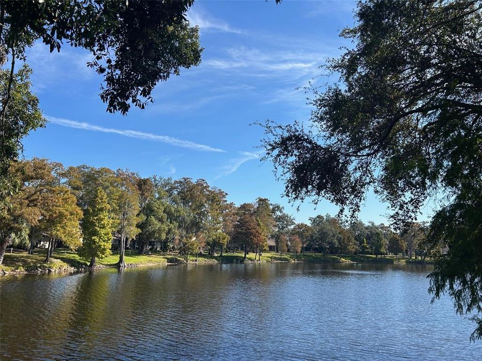 Active With Contract: $244,000 (2 beds, 2 baths, 940 Square Feet)