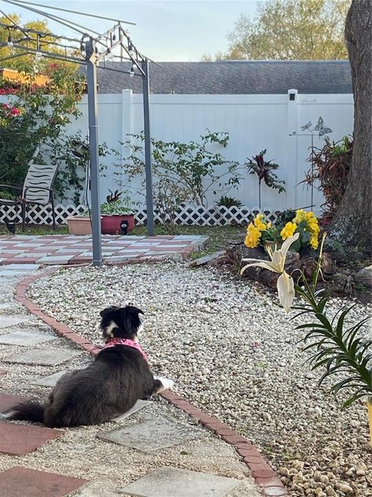 En Venta: $324,000 (2 camas, 1 baños, 1045 Pies cuadrados)