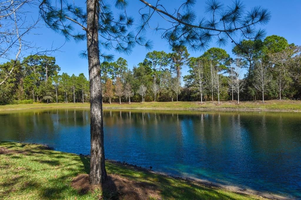 На продажу: $375,000 (3 спален, 2 ванн, 1818 Квадратных фут)