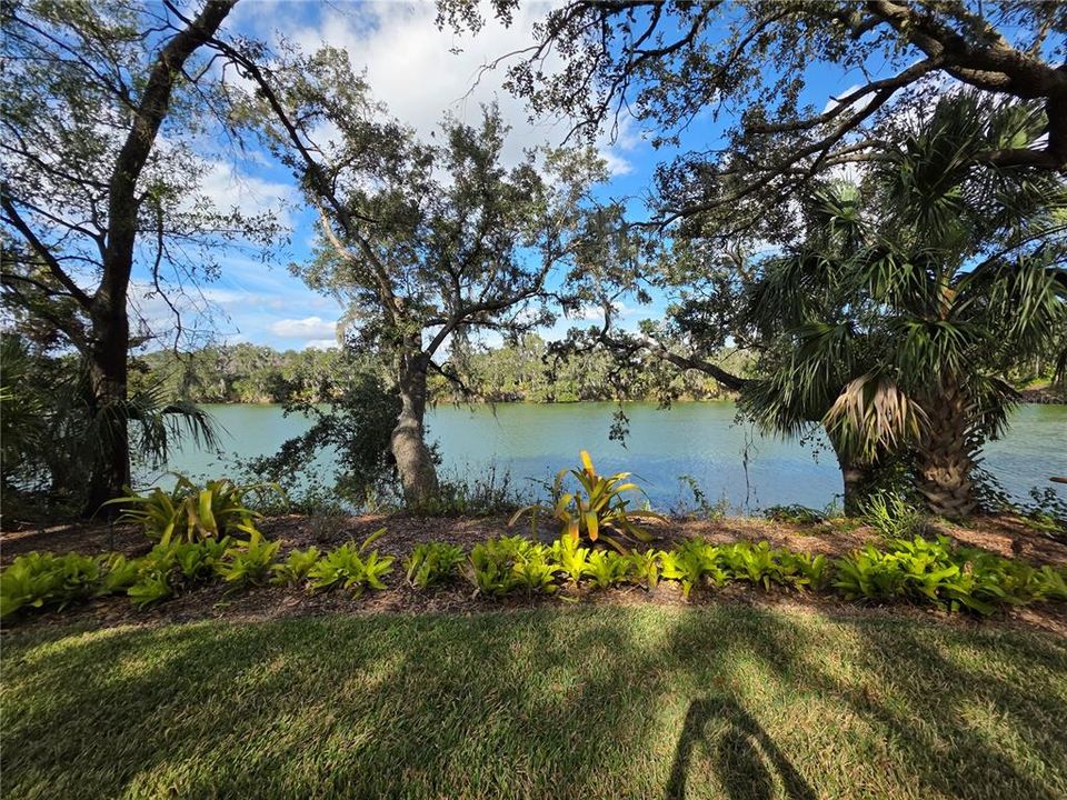 待售: $260,000 (3 贝兹, 2 浴室, 1368 平方英尺)