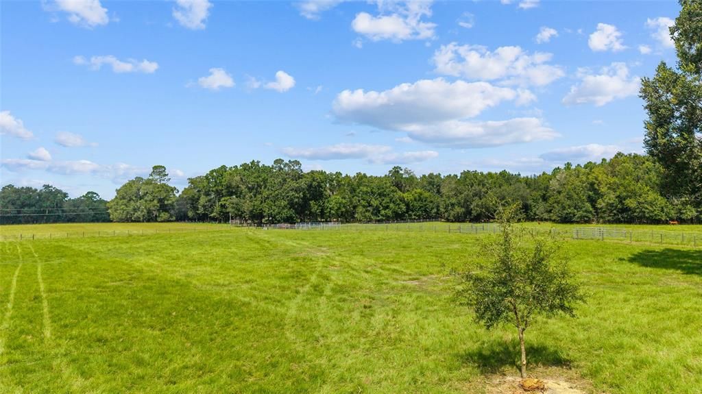 For Sale: $750,000 (20.43 acres)