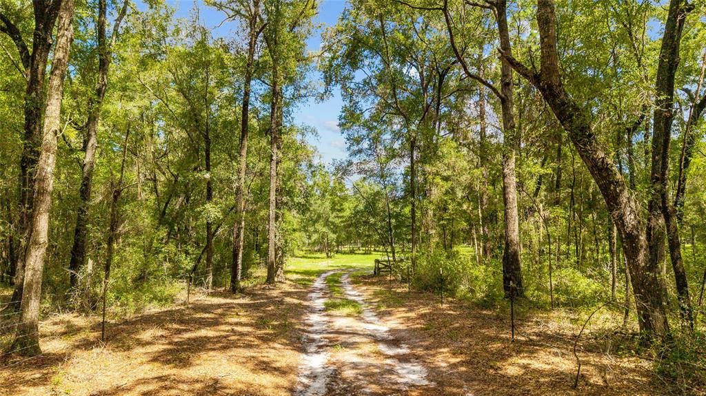 For Sale: $750,000 (20.43 acres)