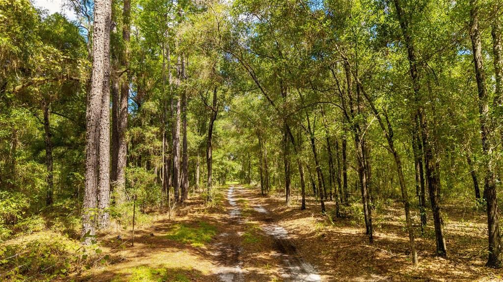 For Sale: $750,000 (20.43 acres)