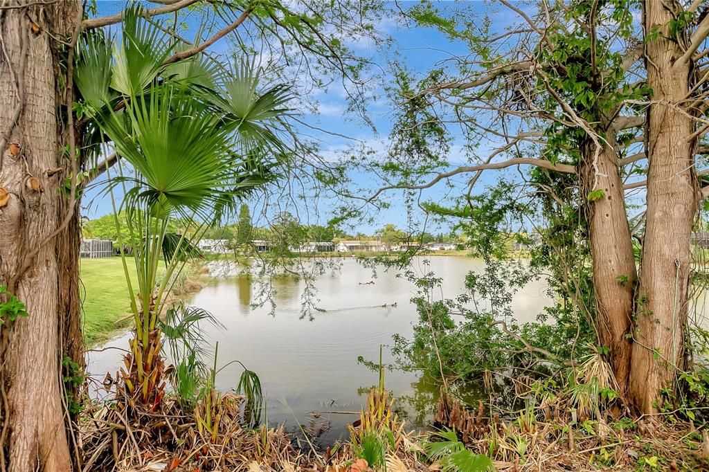 For Sale: $229,000 (3 beds, 2 baths, 1166 Square Feet)