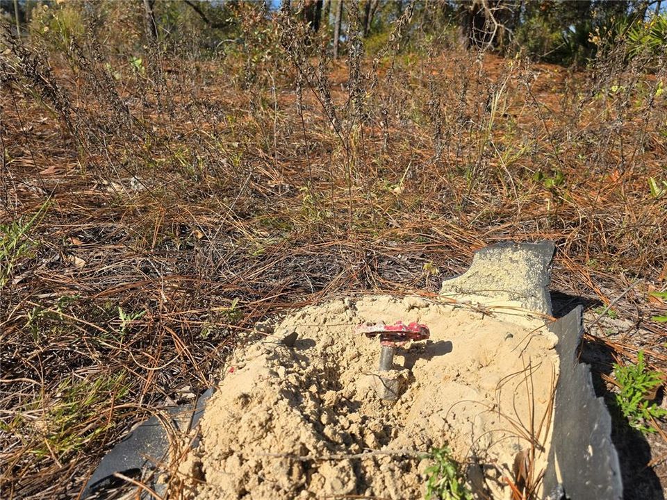 For Sale: $22,500 (0.27 acres)