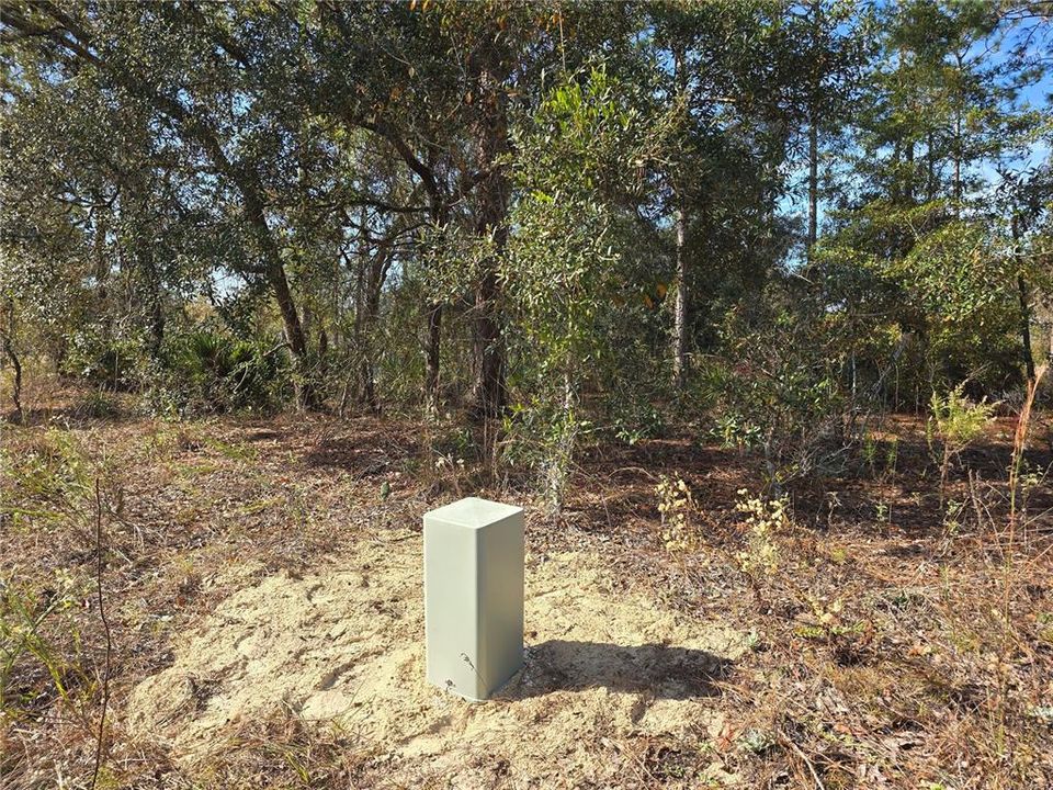 For Sale: $22,500 (0.27 acres)