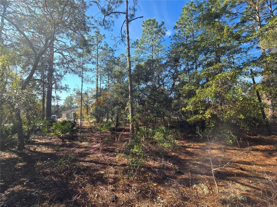 For Sale: $22,500 (0.27 acres)