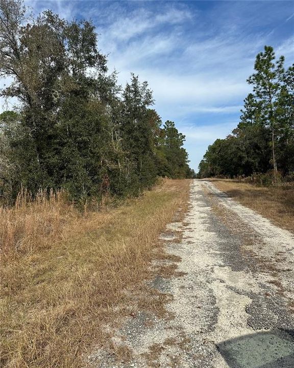 For Sale: $20,000 (0.25 acres)