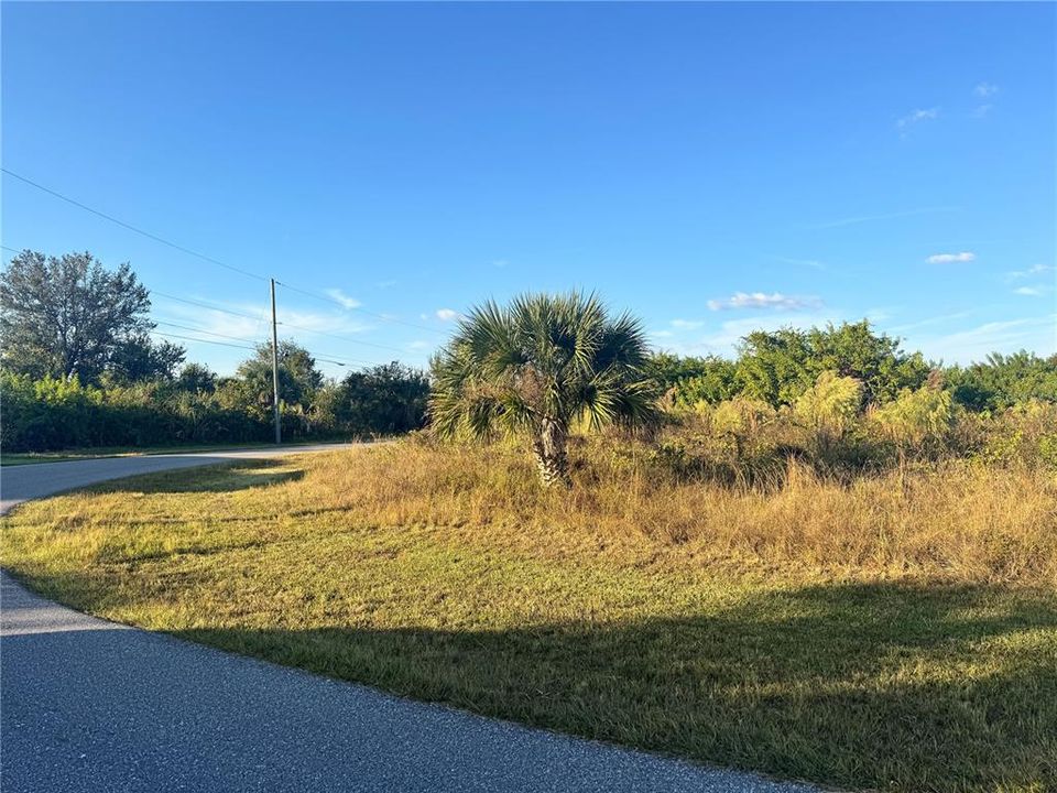 Active With Contract: $29,900 (0.27 acres)