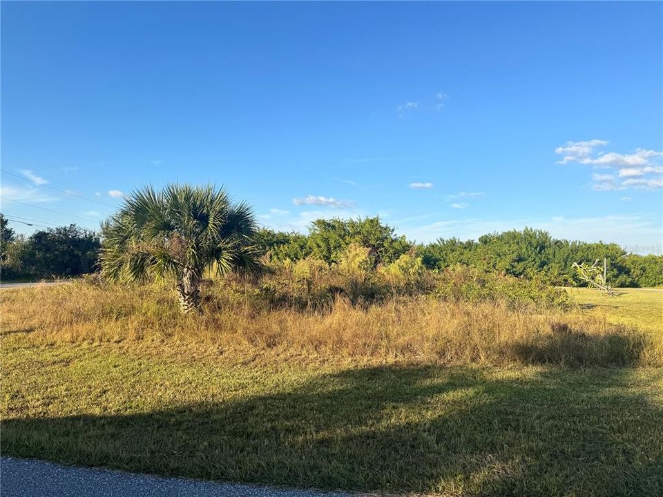 Active With Contract: $29,900 (0.27 acres)