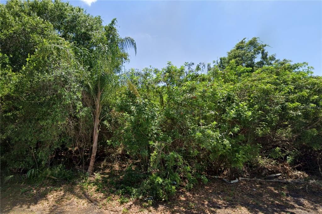 For Sale: $70,000 (0.74 acres)