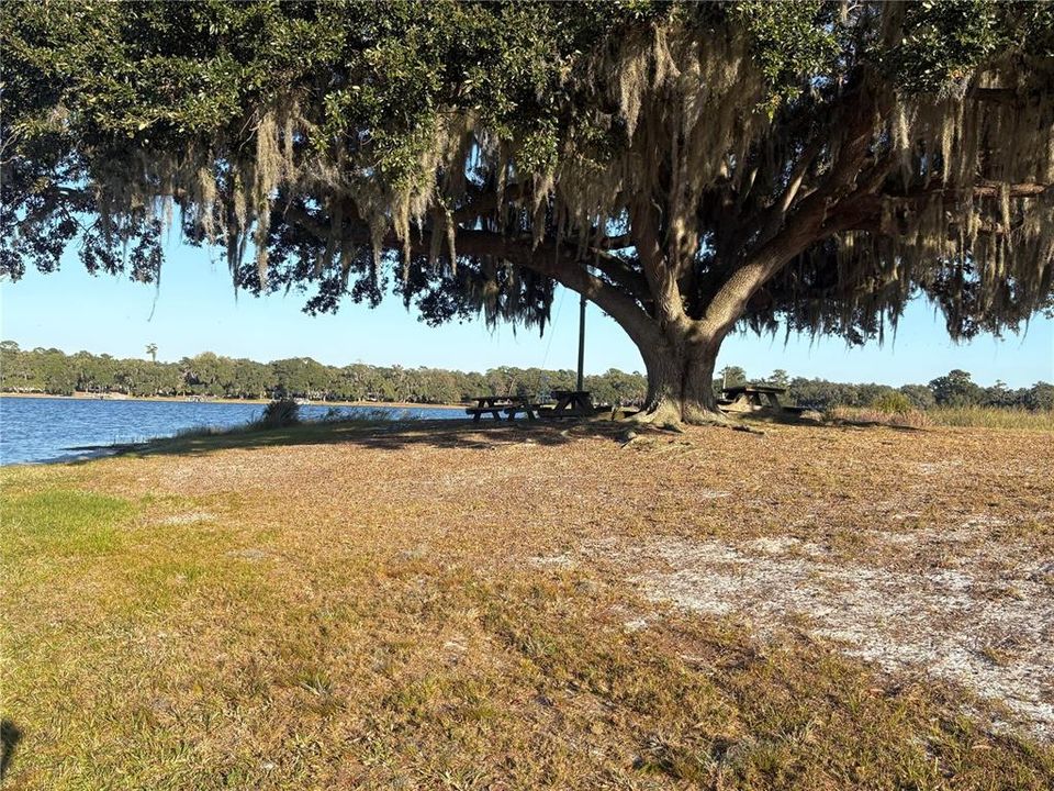 For Sale: $54,900 (0.44 acres)