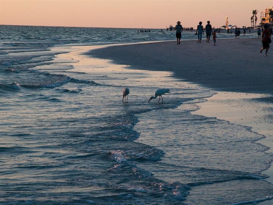 待售: $365,000 (3 贝兹, 2 浴室, 1956 平方英尺)