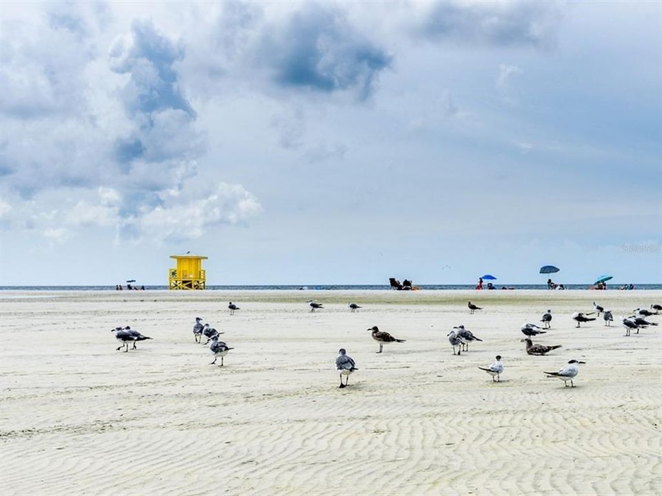 待售: $365,000 (3 贝兹, 2 浴室, 1956 平方英尺)