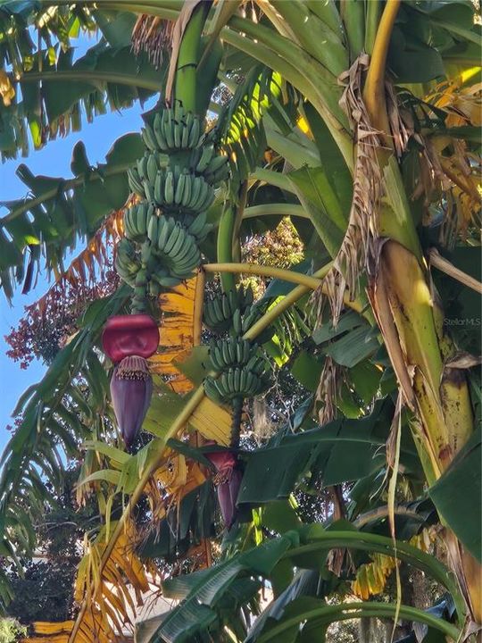 待售: $1,300,000 (3 贝兹, 3 浴室, 3367 平方英尺)