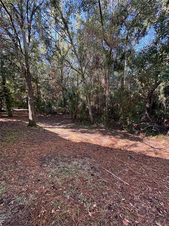 For Rent: $2,100 (3 beds, 2 baths, 1609 Square Feet)