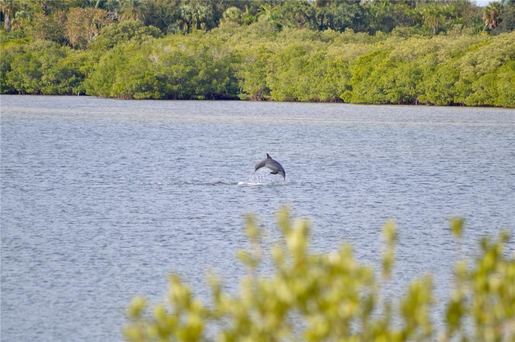 На продажу: $750,000 (0.42 acres)