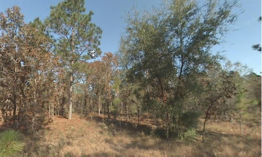 待售: $13,495 (0.23 acres)