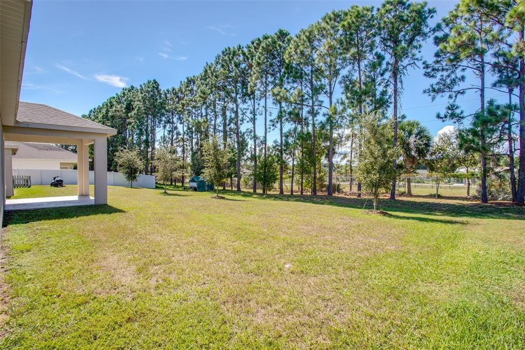 出租: $1,999 (3 贝兹, 2 浴室, 1489 平方英尺)