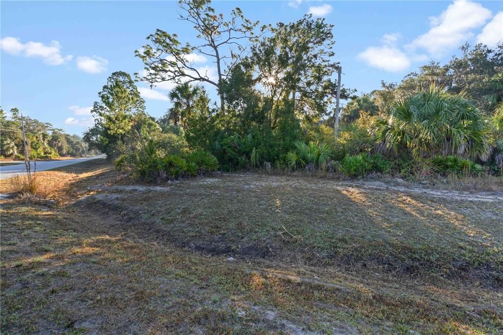 На продажу: $53,500 (1.16 acres)